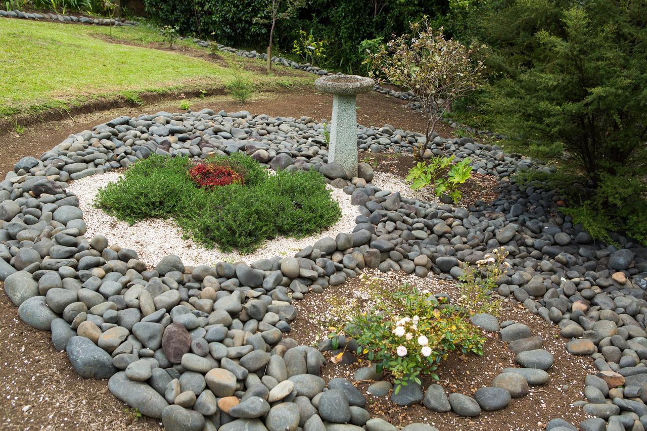 Ocean View B&B Whitianga Exterior foto